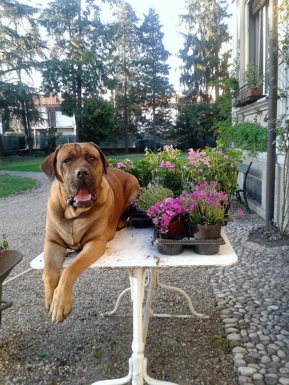 Invilla B&B Varese Exterior foto
